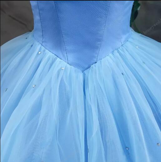 Ball Gown Plus Size Prom Dresses,Princess,Vintage Blue Cinderella Dresses ER1057 - OrtDress